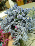 Ramo limonium tintado y eucalipto