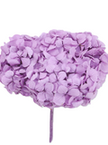 Hortensia Lavanda