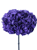 Hortensia Morada