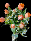 Ramo Tulipanes