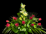 Centro Rosas y Lilium