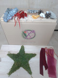Christmas Box Estrella para colgar preservada