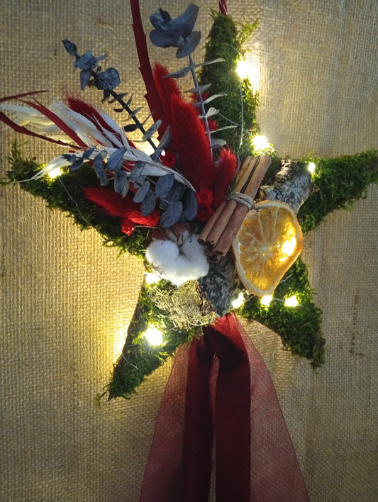 Estrella para colgar preservada